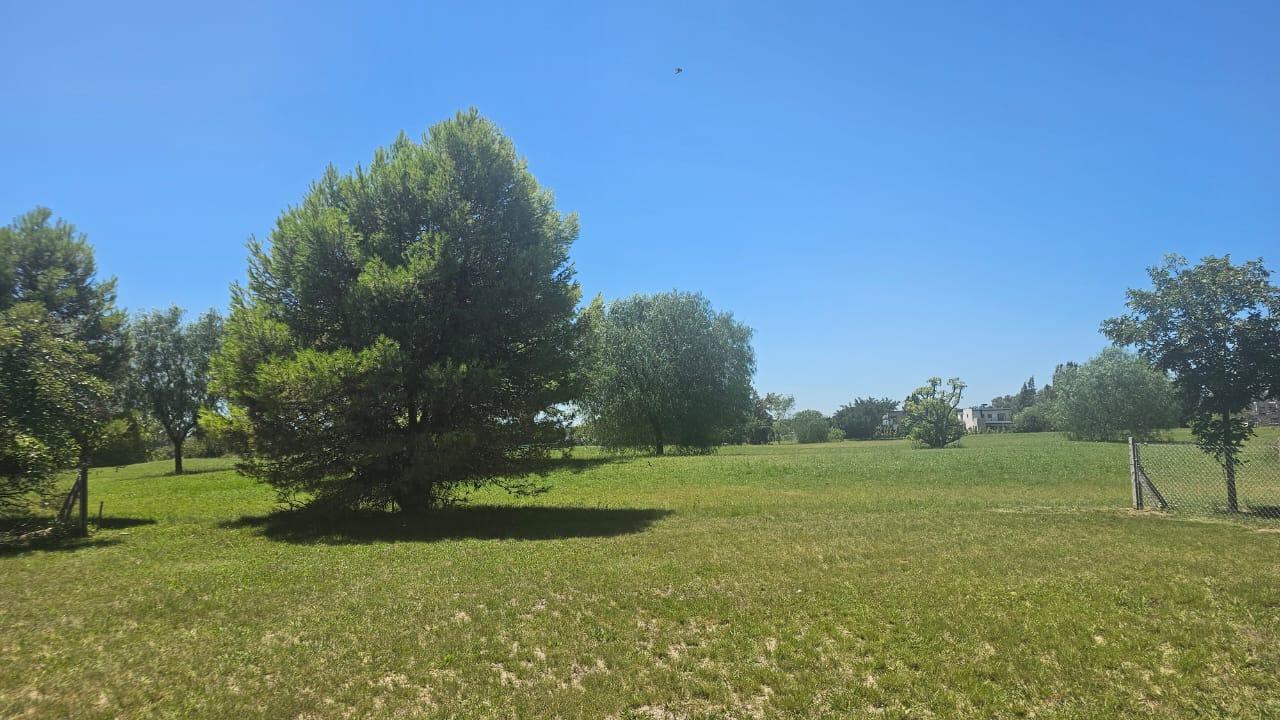 6763003_49817452880883485921140512534192558295987931428410621179169873795122481055483