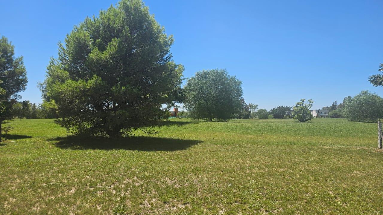 6763003_60824297601391343932265671454820047137129324586456934101805572386202471134369