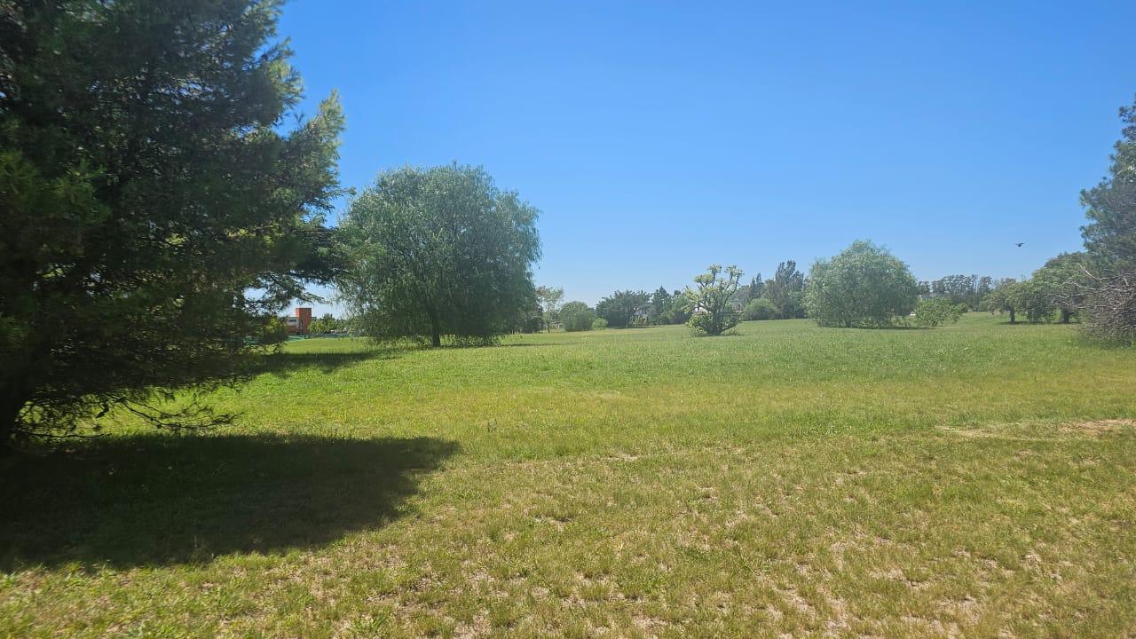 6763003_74916406630257139472949505357646935785811000372147499774562477212243374248747