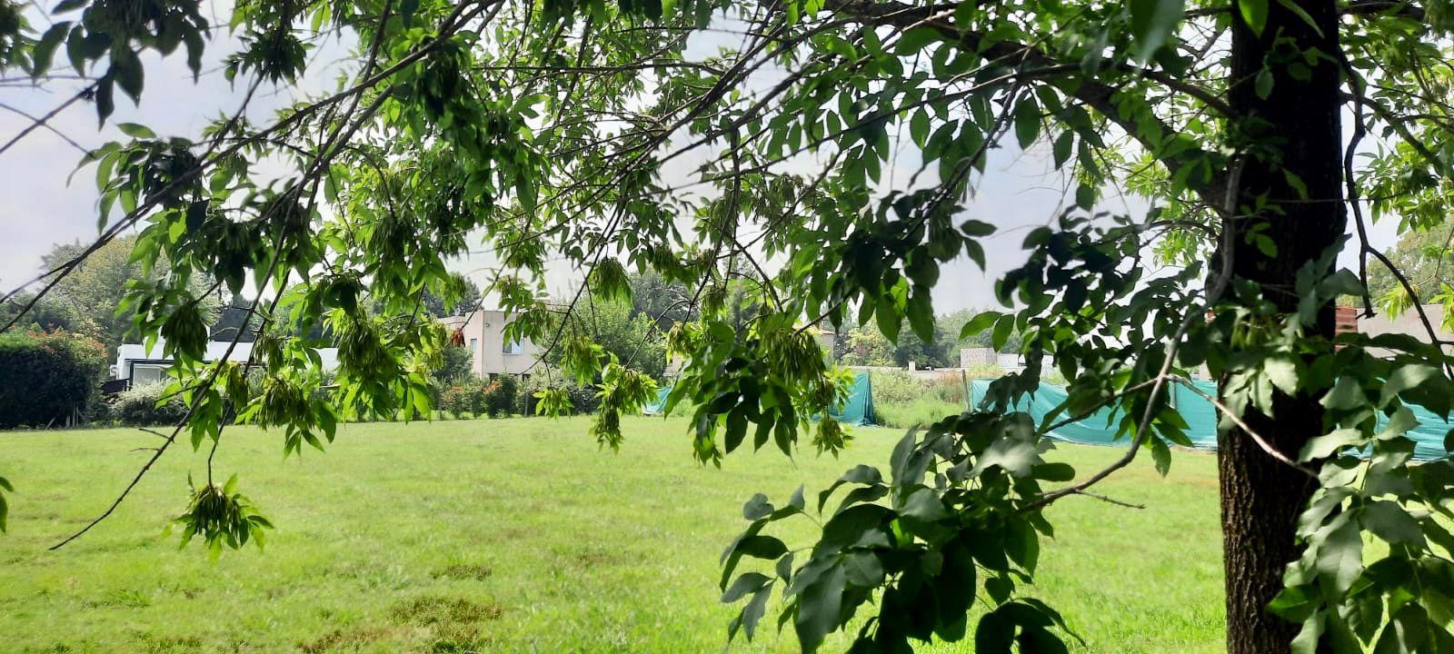 78642474478599271043660709438270002451936174383549777485468649592543166476823